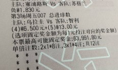 开云APP-乌克兰力克芬兰，欧预赛领跑小组积分榜的简单介绍