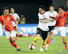 北京国瑞队不敌北京蓝皮书队，遗憾止步